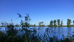 Abangeln_2015_01.jpg