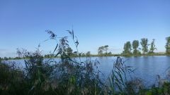 Abangeln_2015_21.jpg