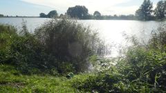 Abangeln_2019_06.jpg