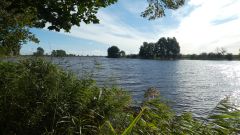Abangeln_2019_18.jpg