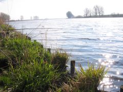 Anangeln_2008_50.jpg
