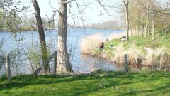 Anangeln_2010_05.jpg