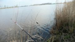 Anangeln_2011_005.jpg