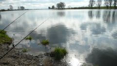 129_anangeln_20121.jpg