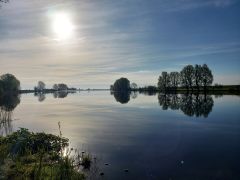 Anangeln_2022_03.jpg
