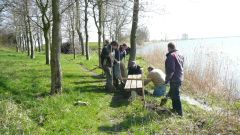 Arbeitseinsatz_2010_04.jpg