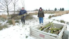 105-Arbeitseinstz-2012.jpg