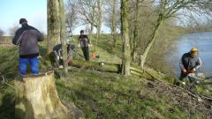 119_Arbeitseinsatz_25_Feb_2012.jpg