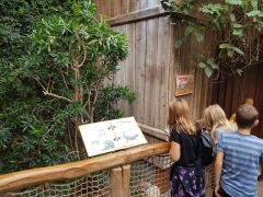 Hagenbeck_2019_02.jpg