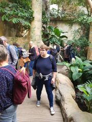 Hagenbeck_2019_03.jpg