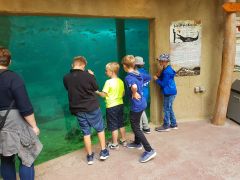 Hagenbeck_2019_04.jpg