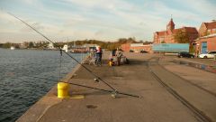 Dänemark_2008_08.jpg