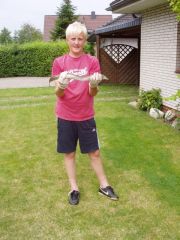 Fänge_2009_08.jpg