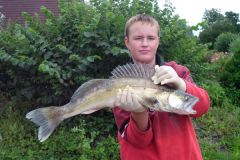 2-zander-juli-2011.jpg