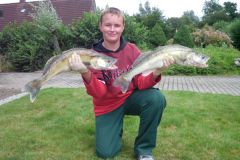 3-zander-juli-2011.jpg
