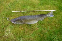 2012Zander_1.jpg