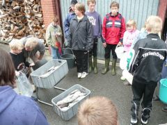 Forellenangeln_2009_03.jpg