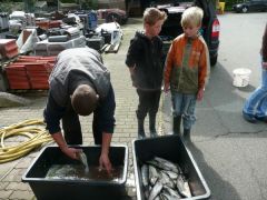 18-Angeln-am-Forelleteich-2011.jpg