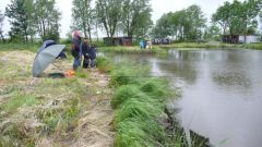101_forellen_2012.jpg