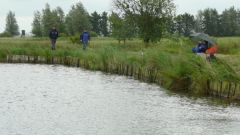 103_forellen_2012.jpg