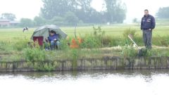 104_forellen_2012.jpg