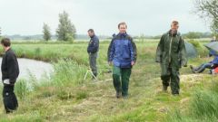 105_forellen_2012.jpg