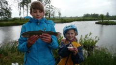 108_forellen_2012.jpg