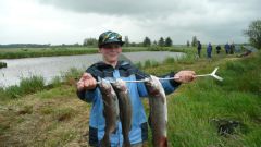110_forellen_2012.jpg
