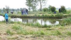 111_forellen_2012.jpg