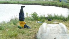 112_forellen_2012.jpg