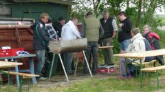 119_forellen_2012.jpg