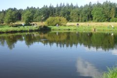 7-Angeln-am-Forellensee-2014.jpg