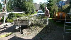 Heimatfest_Seeth_2010_03.jpg