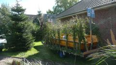 Heimatfest_Seeth_2010_05.jpg