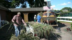 Heimatfest_Seeth_2010_07.jpg