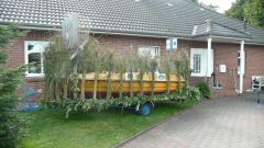 Heimatfest_Seeth_2010_12.jpg