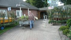 Heimatfest_Seeth_2010_13.jpg