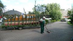 Heimatfest_Seeth_2010_15.jpg