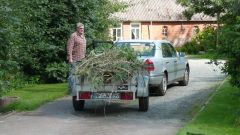 Heimatfest_Seeth_2010_18.jpg