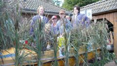 Heimatfest_Seeth_2010_23.jpg