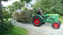 Heimatfest_Seeth_2010_27.jpg