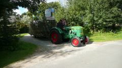 Heimatfest_Seeth_2010_31.jpg