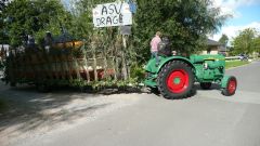 Heimatfest_Seeth_2010_33.jpg