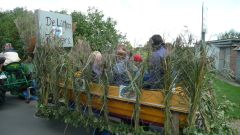 Heimatfest_Seeth_2010_38.jpg