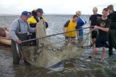 12-Krabbenfischen_7_Jul_2011.jpg
