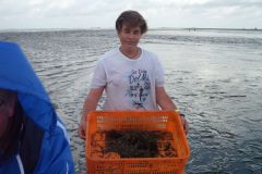 18-Krabbenfischen_7_Jul_2011.jpg
