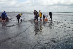 21-Krabbenfischen_7_Jul_2011.jpg