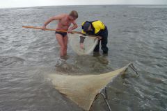 27-Krabbenfischen_7_Jul_2011.jpg