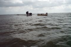 30-Krabbenfischen_7_Jul_2011.jpg