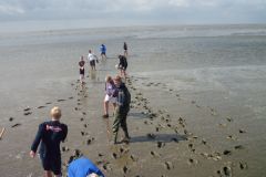 4-Krabbenfischen_7_Jul_2011.jpg